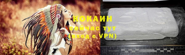 альфа пвп Дмитровск