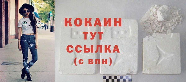 стаф Дмитриев
