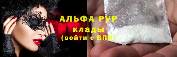 стаф Дмитриев