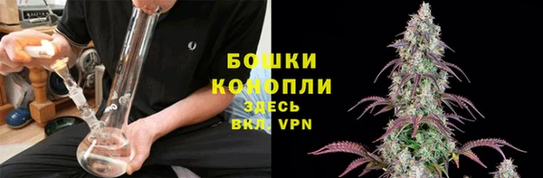 стаф Дмитриев