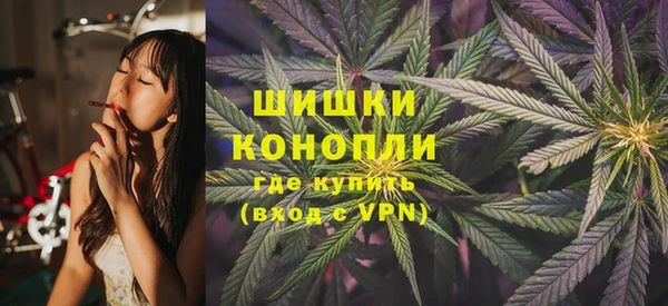 стаф Дмитриев