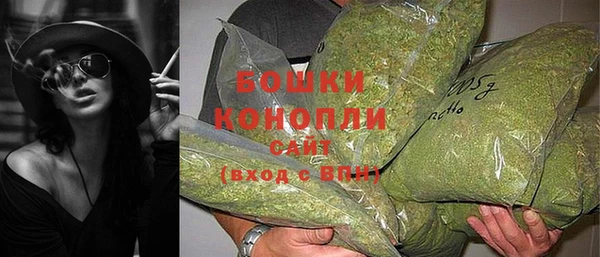 стаф Дмитриев