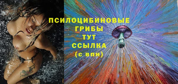 герыч Дмитров