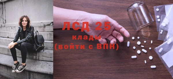 стаф Дмитриев