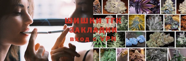 альфа пвп Дмитровск