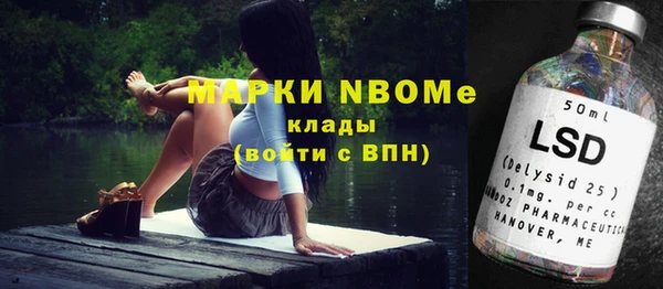 стаф Дмитриев