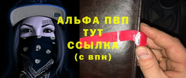 стаф Дмитриев