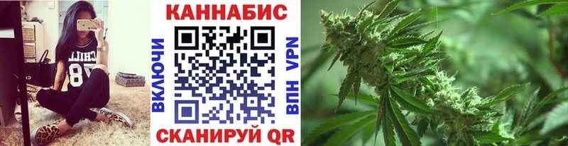 Бошки Шишки гибрид нарко площадка официальный сайт Куровское где продают наркотики